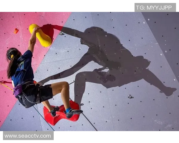 南京攀岩队实力强劲荣登全国攀岩力量排行榜第二名