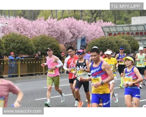 武汉城市马拉松中街舞队展现出色团队协作与激情表演的精彩点评