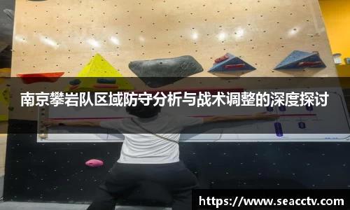 南京攀岩队区域防守分析与战术调整的深度探讨