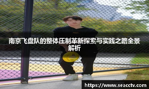 南京飞盘队的整体压制革新探索与实践之路全景解析